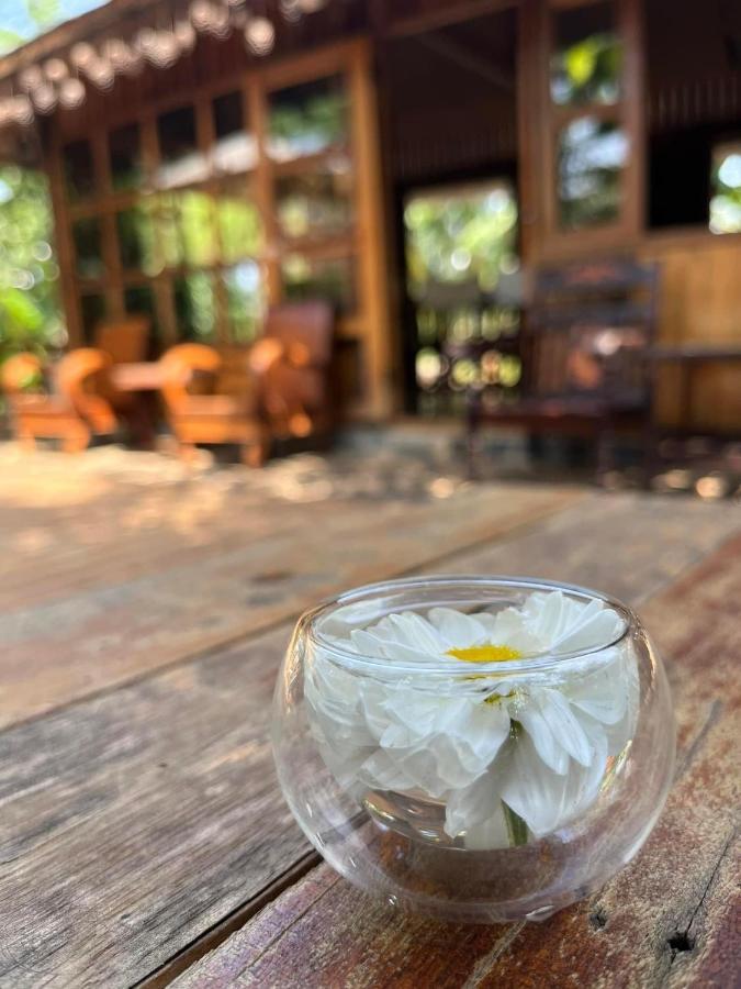 Mộc An Nhiên Farmstay Pleiku Exterior foto